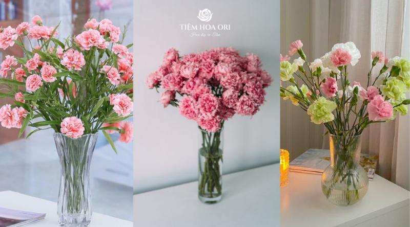 Bí quyết giữ hoa lan cành tươi lâu trong bình, thay nước và cắt gốc định kỳ